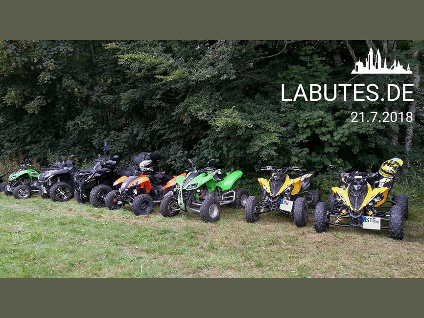 stittholz2018_rui_064